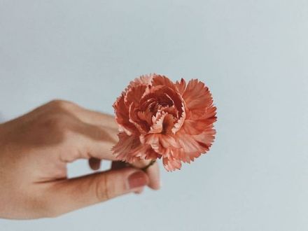 Picture of Kako si lahko same pomagamo pri vaginalni glivični okužbi