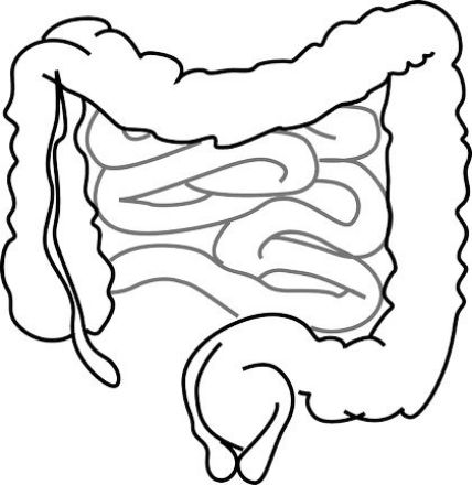 Picture of Kronična vnetna črevesna bolezen – vedno pogostejša bolezen