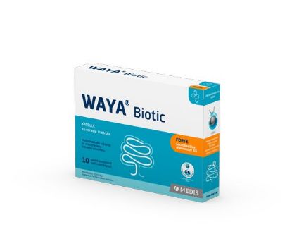 Waya biotic probiotik pri prebavnih težavah