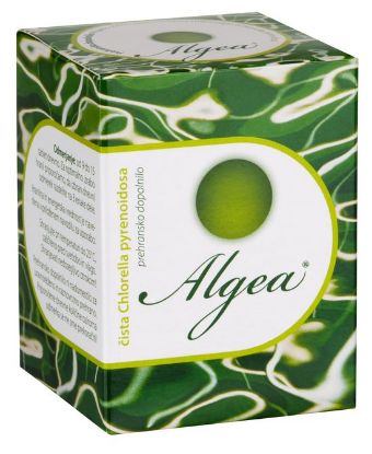 Algea