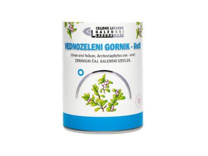 caj vednozeleni gornik