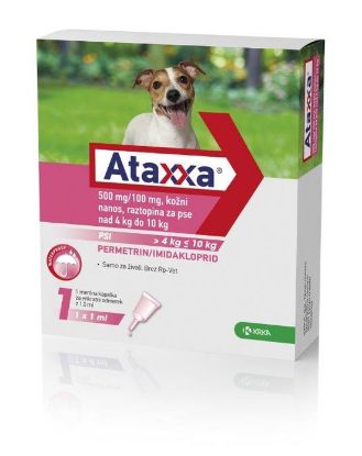 Raztopina (kožni nanos) za zatiranje klopov in bolh na psih nad 4 kg do 10 kg. ataxxa 500 mg_100mg za pse med 4 in 10 kg 1x1ml